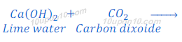 characteristic test of carbon dixoide29