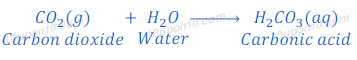  carbon dioxide + water 49