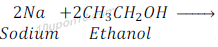 reaction between ethanol and sodium