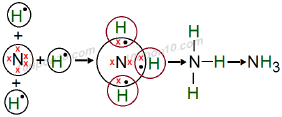 formation of molecule ammonia