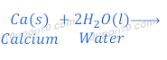 reaction of calcium with water