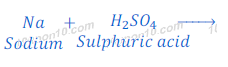 reaction of sodium with sulphuric acid