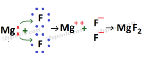 Formation of magnesium fluoride