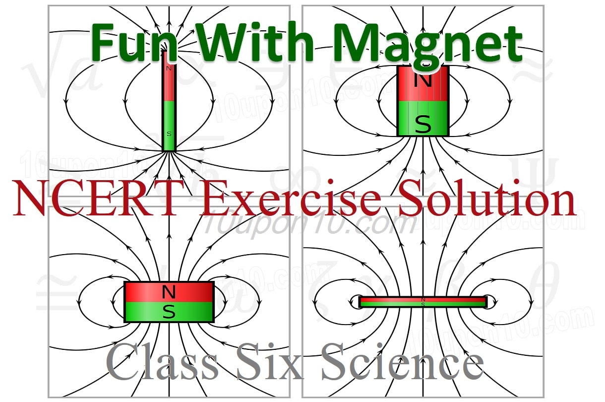 ncert solution fun with magnet class six