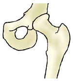 ball and socket joints