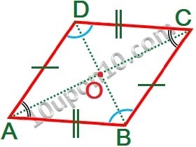  class nine math quadrilateral rhombus