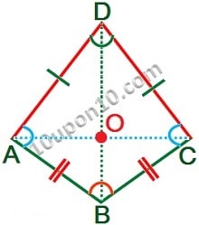  class nine math quadrilateral kite