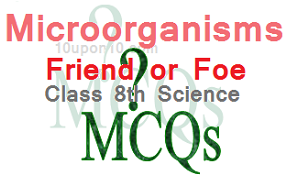 mcqs microorganisms friend or foe class eighth science