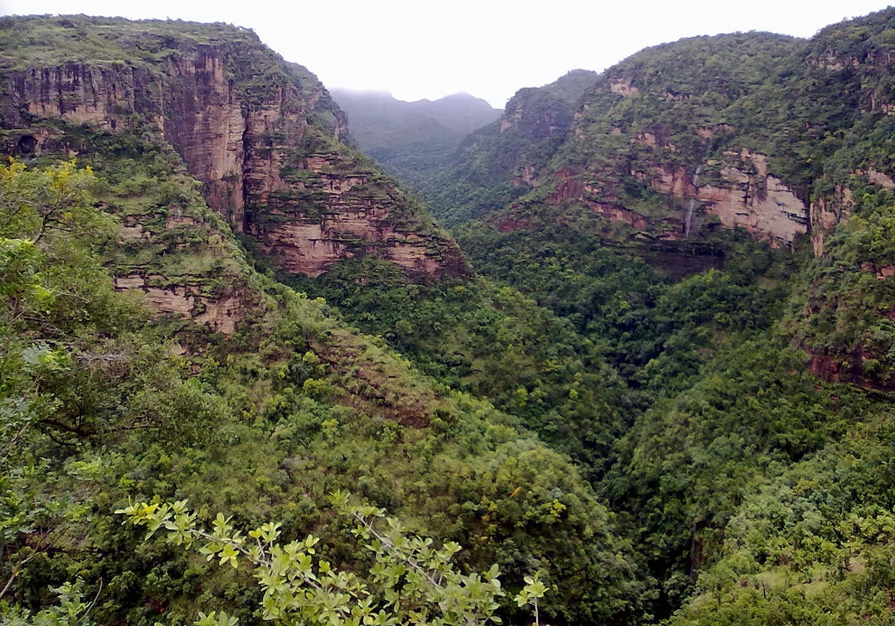 पौधे एवं जंतुओं का संरक्षण सतपुड़ा जैवमंडल आरक्षित क्षेत्र 