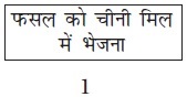 फसल उत्पादन एवं प्रबंध क्लास अष्टम 1