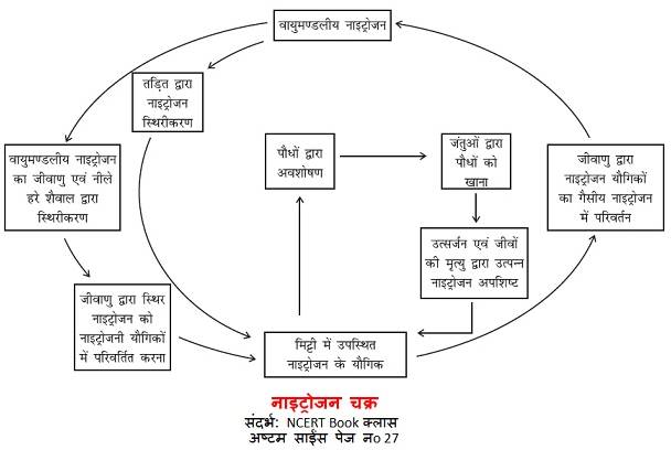 सूक्ष्मजीव मित्र एवं शत्रु नाइट्रोजन चक्र 