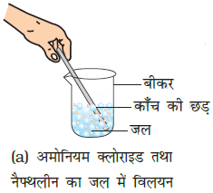 class nine 9 science matters in our surroundings exemplar problems and solution15