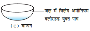 class nine 9 science matters in our surroundings exemplar problems and solution17