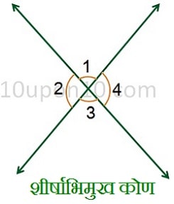 रेखाएँ और कोण क्लास नौवीं गणित शीर्षाभिमुख कोण