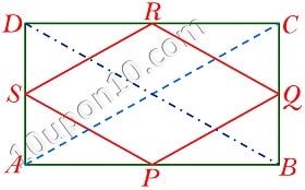 quadrilaterals class 9 math ncert exercise 8.2 question 3