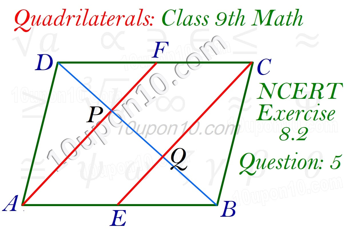 quadrilaterals class 9 math ncert exercise 8.2 question 5