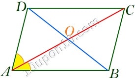 quadrilaterals class 9 math ncert exercise 8.1 question 6