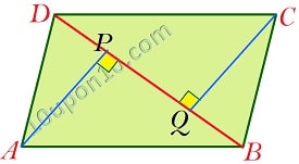 quadrilaterals class 9 math ncert exercise 8.1 question 10