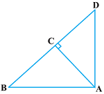 class 10 गणित-कक्षा-10 त्रिभुज (2) एनसीईआरटी प्रश्नावली 6.5
