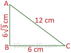 10 math sample paper MCQs32