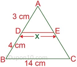 10 math sample paper MCQs33