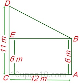 10 math sample paper MCQs17