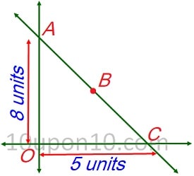 10 math sample paper MCQs21