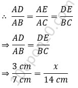 10 math sample paper MCQs33a