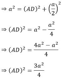 10 math sample paper MCQs10