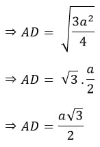 10 math sample paper MCQs11