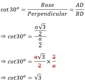 10 math sample paper MCQs12