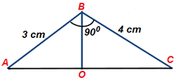 10 math surface area volume ex 13.5_1