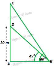 10 application of trigonometry ex 9.1_9