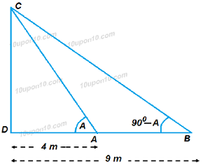 10 application of trigonometry ex 9.1_19