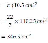 10 math area related to circle3