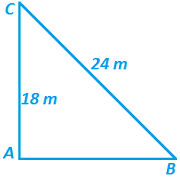 class 10 गणित-कक्षा-10 त्रिभुज (11) एनसीईआरटी प्रश्नावली 6.5