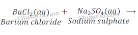 barium chloride + sodium sulphate (precipitation reaction) 131