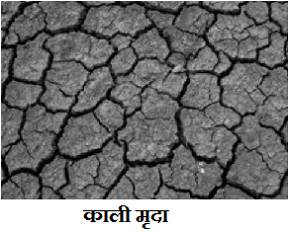 क्लास दशम समाज विज्ञान संसाधन एवं विकास – काली मिट्टी