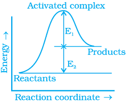 class 12 exemplar problems and solution chemical kinetics1