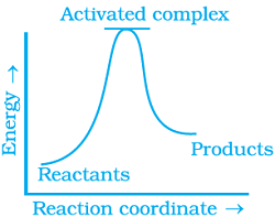 class 12 exemplar problems and solution chemical kinetics8