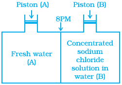 12 chemistry exemplar problems quesion19-solution