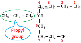 IUPAC nomenclature numbering of carbon atoms in propylnonane